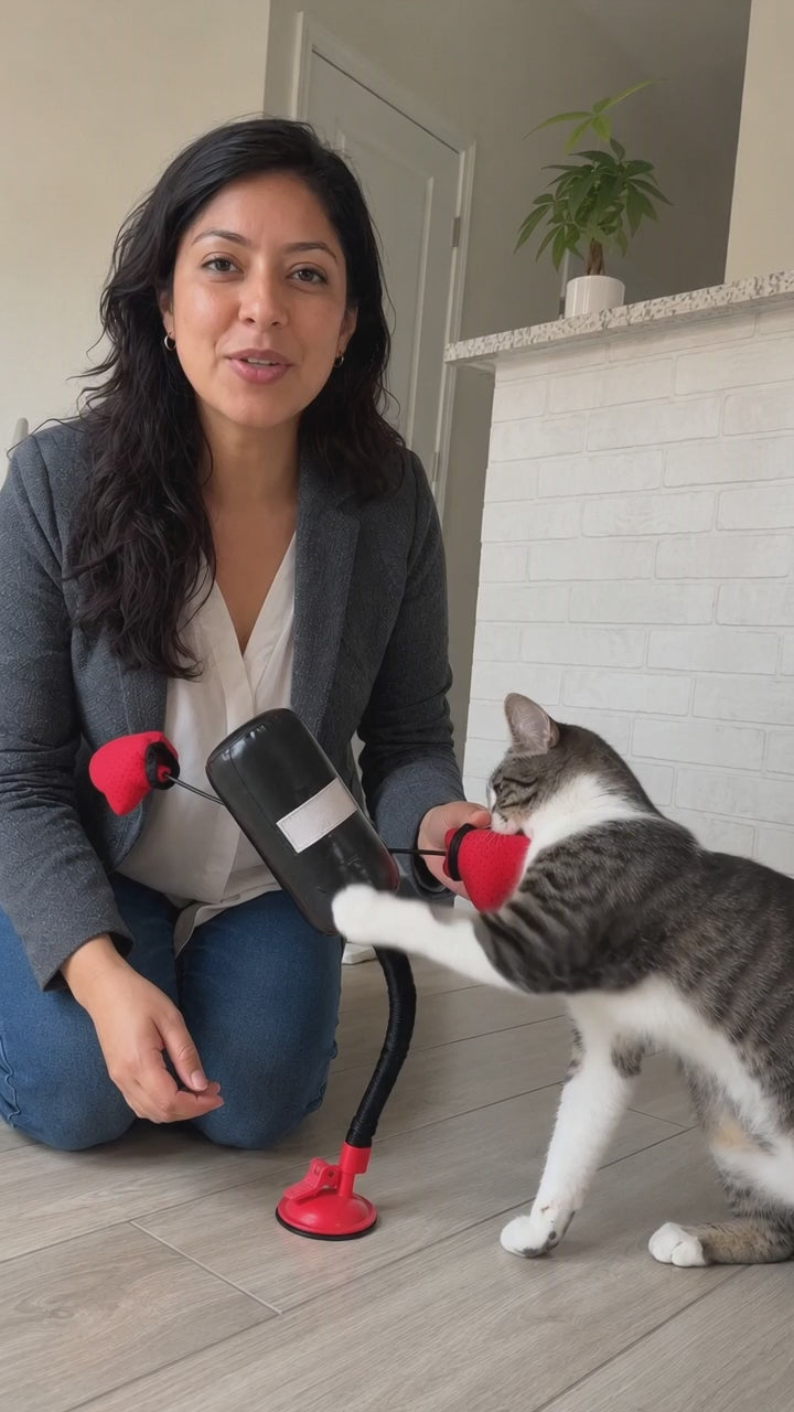 Portable Cat Punching Bag Toy