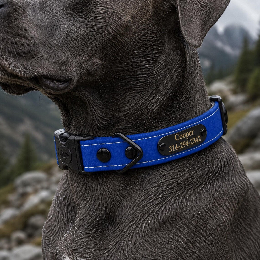 Rugged Waterproof AirTag Dog Collar with Built-In Holder